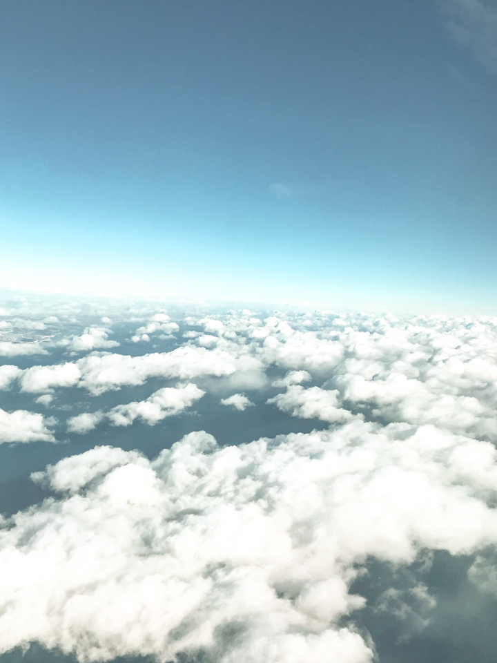 spellbound travels airplane clouds