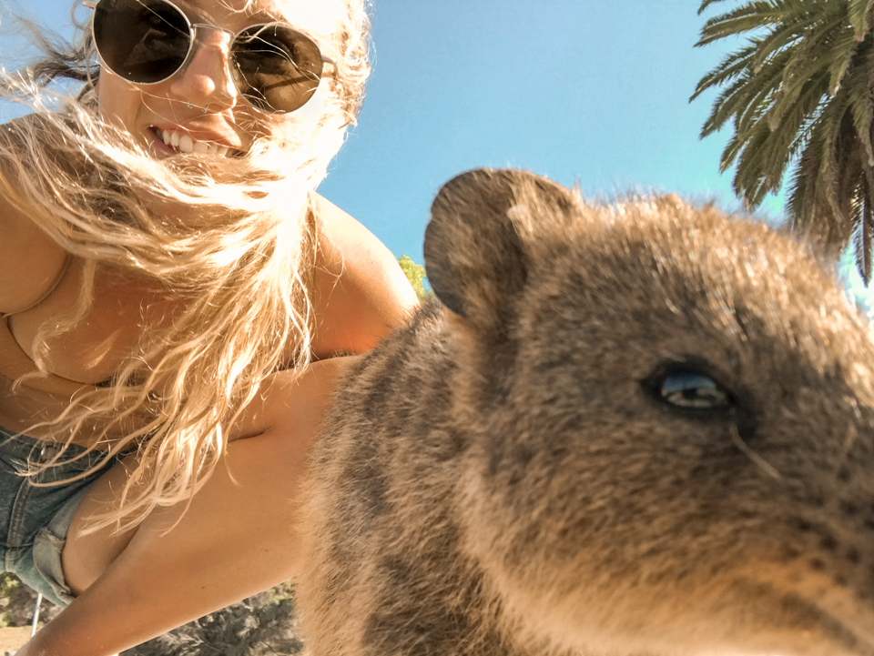 spellbound travels rottest island selfie 