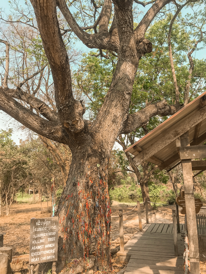 spellbound travels killing tree phnom penh cambodia