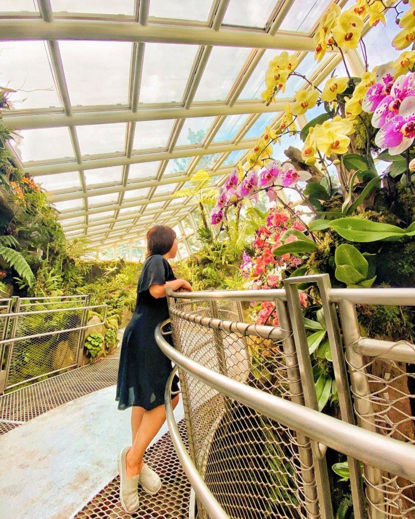 spellbound travels singapore botanic gardens