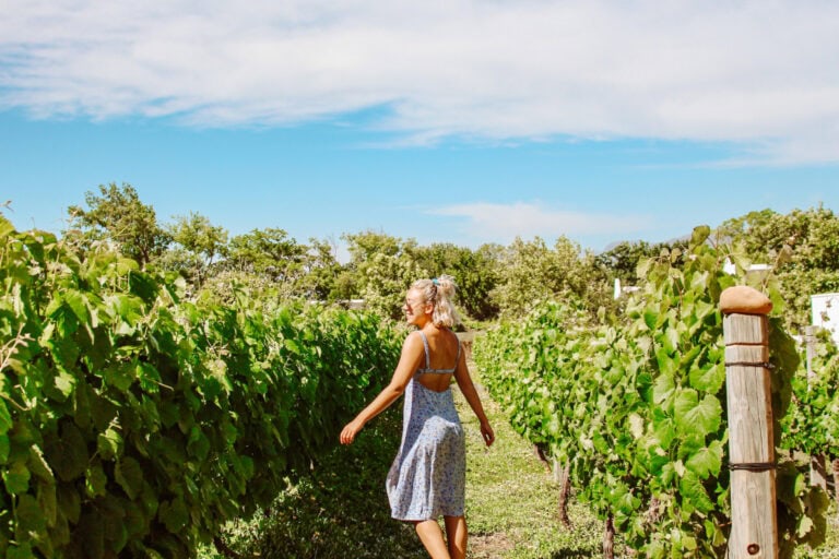 girl standing in between vines of grapes at a winery in Stellenbosch