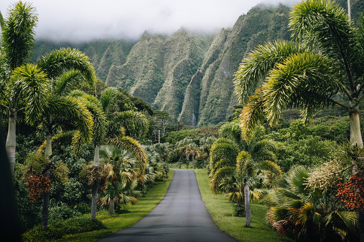 spellbound travels cheap things to do on oahu