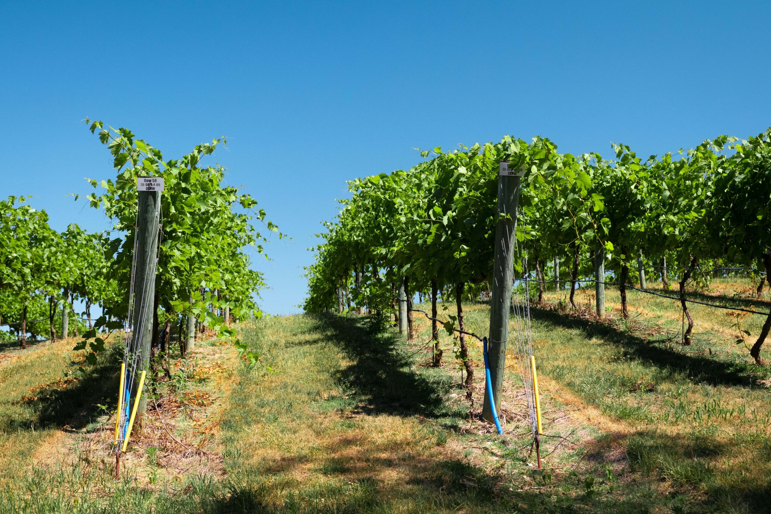 spellbound travels berlin wineries ohio